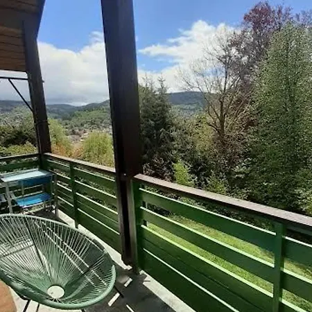 Chaleureux A Gerardmer, Vue Pistes, 4 Pers. - Fr-1-589-371 Apartment