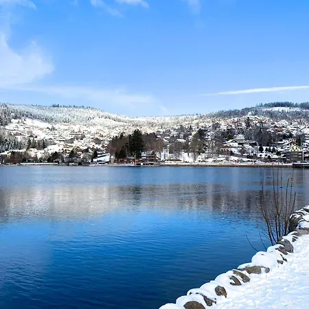 Chaleureux A Gerardmer, Vue Pistes, 4 Pers. - Fr-1-589-371 Daire Gérardmer