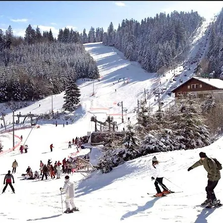 Daire Chaleureux A Gerardmer, Vue Pistes, 4 Pers. - Fr-1-589-371 Gérardmer