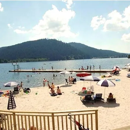 Chaleureux A Gerardmer, Vue Pistes, 4 Pers. - Fr-1-589-371