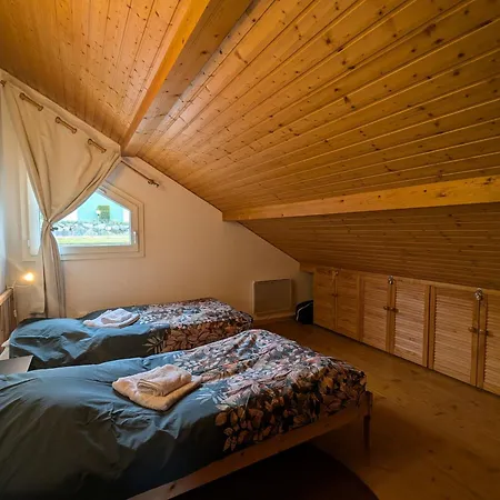 Chaleureux A Gerardmer, Vue Pistes, 4 Pers. - Fr-1-589-371 Appartamento