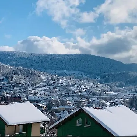 Chaleureux A Gerardmer, Vue Pistes, 4 Pers. - Fr-1-589-371 Appartamento Gérardmer