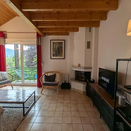 Chaleureux A Gerardmer, Vue Pistes, 4 Pers. - Fr-1-589-371 Апартаменты Жерарме