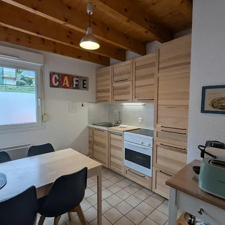 Chaleureux A Gerardmer, Vue Pistes, 4 Pers. - Fr-1-589-371 * Gérardmer