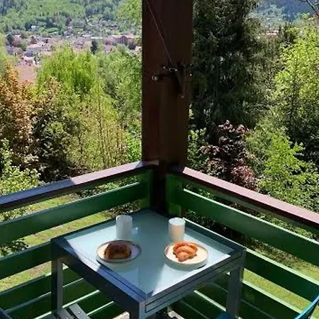 Appartamento Chaleureux A Gerardmer, Vue Pistes, 4 Pers. - Fr-1-589-371 *