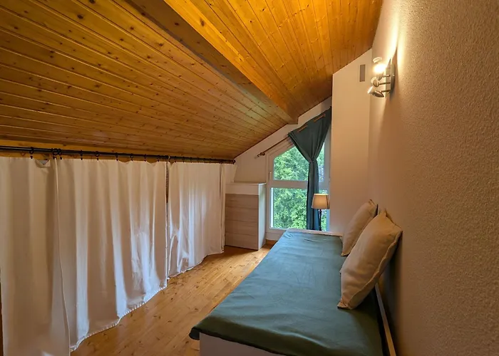 Chaleureux A Gerardmer, Vue Pistes, 4 Pers. - Fr-1-589-371 Apartment *