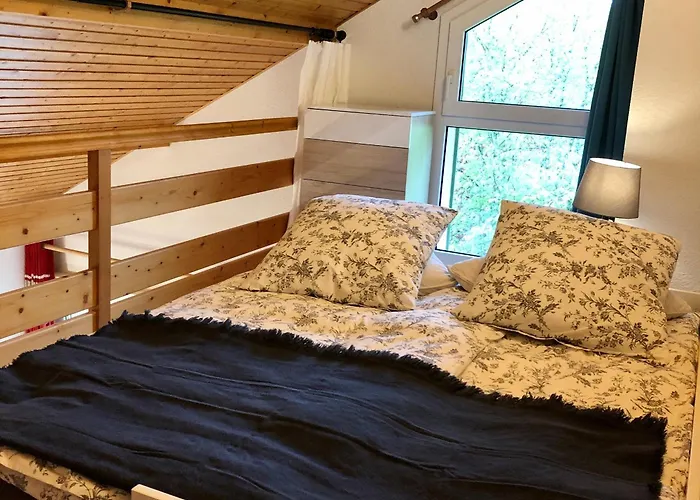 Apartment Chaleureux A Gerardmer, Vue Pistes, 4 Pers. - Fr-1-589-371 *