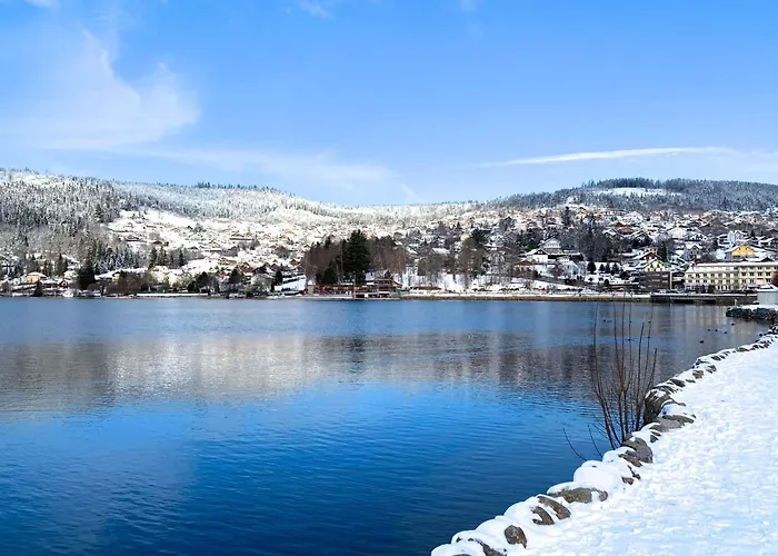 Chaleureux A Gerardmer, Vue Pistes, 4 Pers. - Fr-1-589-371 Apartment Gérardmer