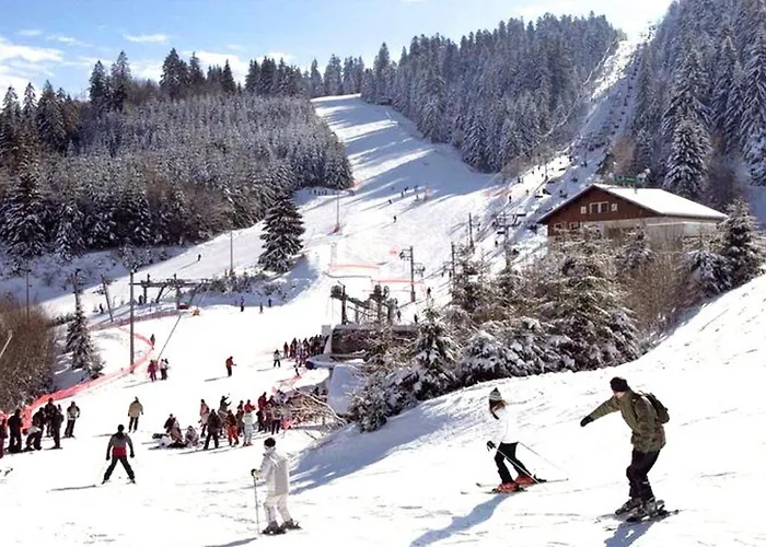 Apartment Chaleureux A Gerardmer, Vue Pistes, 4 Pers. - Fr-1-589-371 Gérardmer