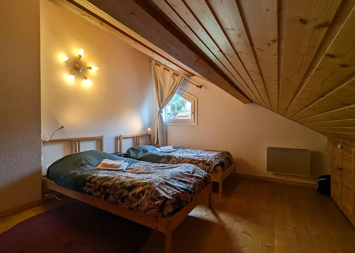 Chaleureux A Gerardmer, Vue Pistes, 4 Pers. - Fr-1-589-371 * Gérardmer