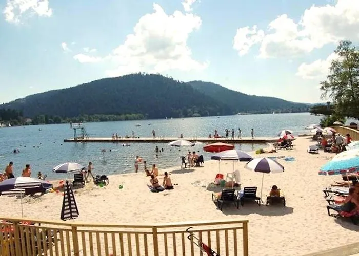 Chaleureux A Gerardmer, Vue Pistes, 4 Pers. - Fr-1-589-371