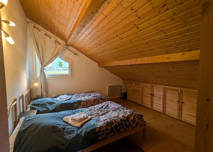 Chaleureux A Gerardmer, Vue Pistes, 4 Pers. - Fr-1-589-371 Apartment