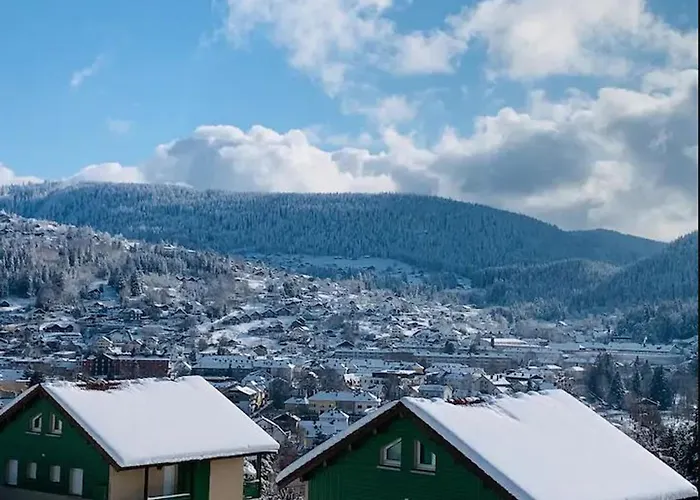 Chaleureux A Gerardmer, Vue Pistes, 4 Pers. - Fr-1-589-371 Apartment Gérardmer