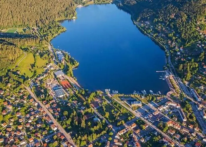 Chaleureux A Gerardmer, Vue Pistes, 4 Pers. - Fr-1-589-371 *