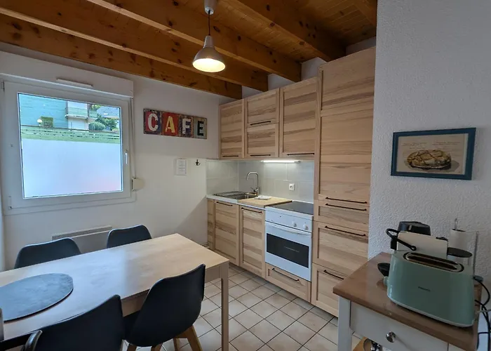 Chaleureux A Gerardmer, Vue Pistes, 4 Pers. - Fr-1-589-371 * Gérardmer